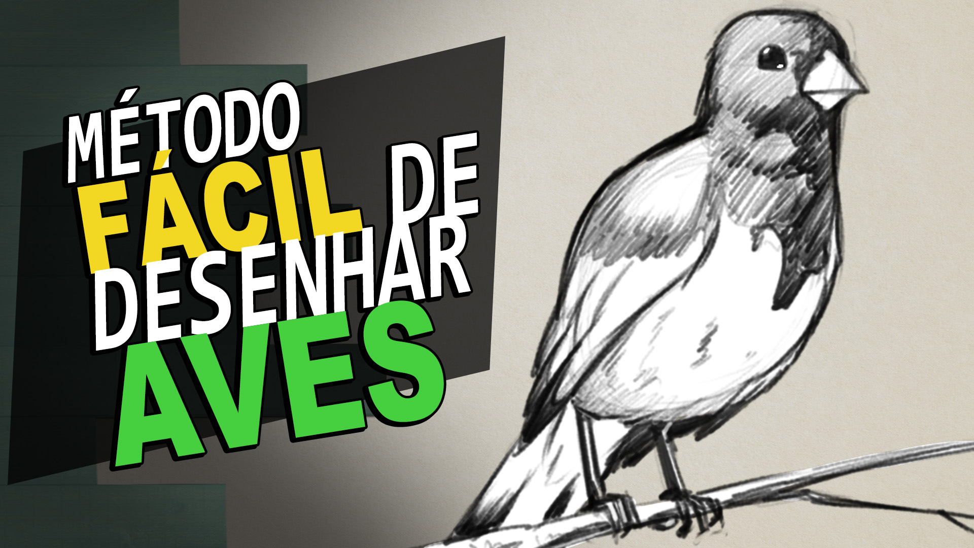 como desenhar um pássaro bonito passo a passo. coleção de personagens de  desenhos animados de animais